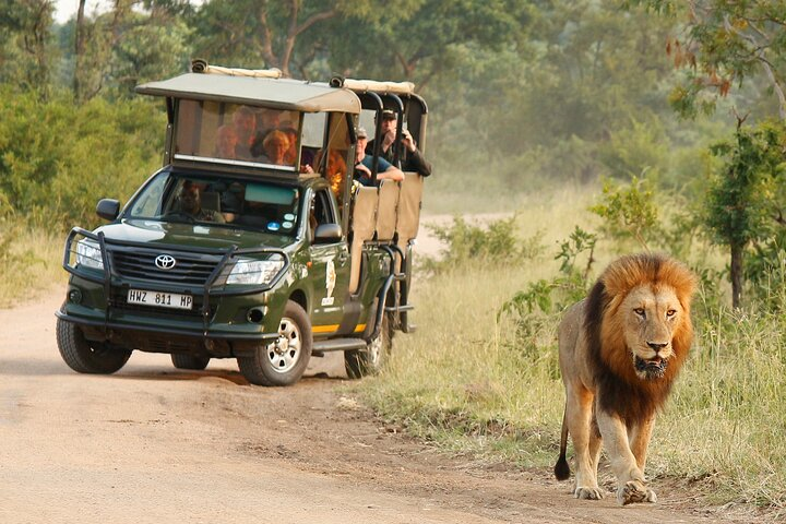 Kruger National Park Afternoon Private safari - Photo 1 of 9